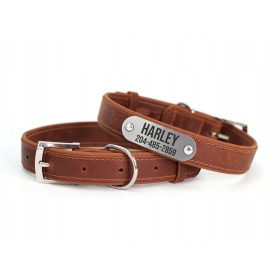    Collare per cani con targhetta identificativa Cognac, taglia M