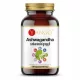  YANGO Ashwagandha con vitamine del gruppo B, 90 capsule.