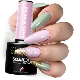  CLARESA HYBRID POLISH FROSTY MORNING COLOR CHOICE