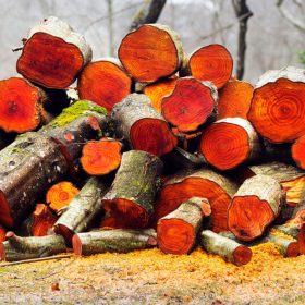    LEGNA DI ONTANO PER AFFUMICARE SULLA GRIGLIA DEL FUOCO 50L XXL