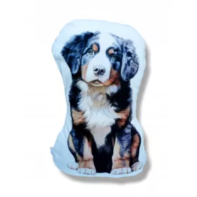   Cuscino coccolone del cane bovaro bernese mascotte del bovaro bernese
