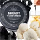 Pasta Shilajit Altaica con Lion's Mane: Energetica e Naturale 25g