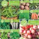  Set di semi di ortaggi BIO SEEDS 10 confezioni