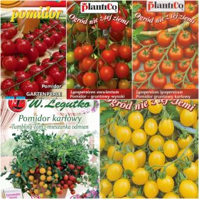  POMODORI COCKTAIL Raccolta semi 5 confezioni Set n.3