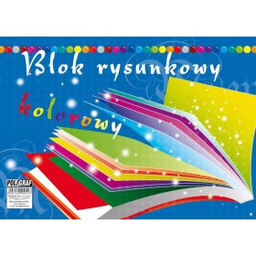    BLOCCO DISEGNO con fogli COLORE A4 20 fogli POLIGRAFO set da 10 PZ