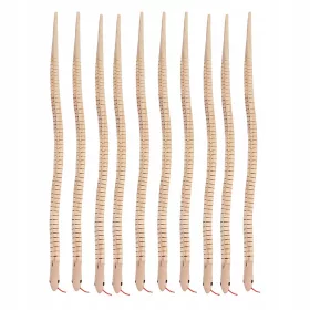    I serpenti di legno dipingono giocattoli di massa Giochi finti