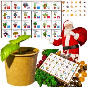    CALENDARIO DELL'AVVENTO Piante da coltivazione fai da te set 24 scatole Regalo Natale