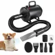  Asciugacapelli per toelettatura cani e animali domestici da 2800 W. Ventilatore blaster continuo a velocità del vento