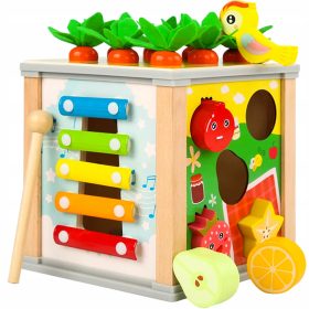    Gioco educativo con scatola puzzle 5 in 1 per sorter di cubi in legno Cattura l'insetto