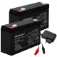  2x CARICABATTERIE DA AUTO HQ BATTERIA AGM 6V 12Ah
