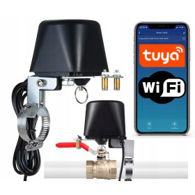  Controller attuatore valvola gas acqua TUYA WIFI SMART