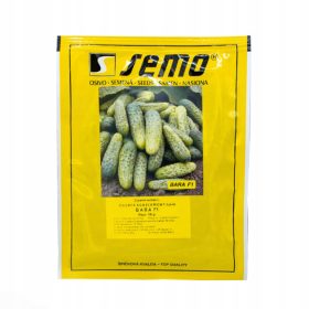  SEMI DI CETRIOLO BARA F1 100G SEMO