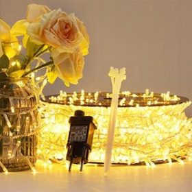    L'albero di Natale di GlobaLink accende più di 1000 luci