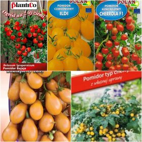  POMODORI COCKTAIL Raccolta semi 5 confezioni Set n.1