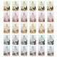 BRIT CARE MINI cibo umido per cani, mix di gusti, 30x85g