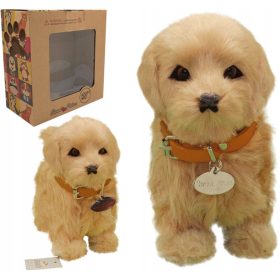  IL CANE INTERATTIVO risponde al tocco. C'È UNA RAZZA