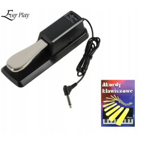  Hai mai giocato al pedale sp-01