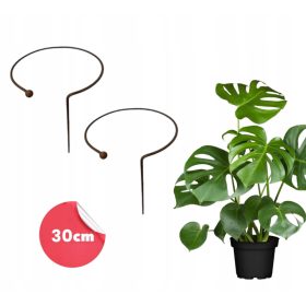    2× Supporto 2pz per cespugli piante fiori supporto da giardino D30 H60cm solido