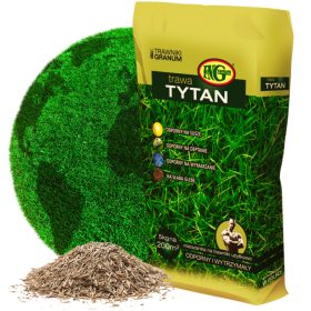    Erba decorativa, erba mista, per zone asciutte, per zone d'ombra, giardino Granum 200 m² 5 kg