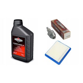    TAPPO FILTRO OLIO PER RASAERBA BRIGGS STRATTON BS FILTRO ARIA