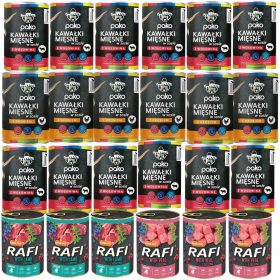  DOLINA NOTECI RAFI JUNIOR PSA AROMI MIX 24x400g