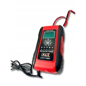    Raddrizzatore e caricabatterie intelligente per batterie 12/24V 10/5A