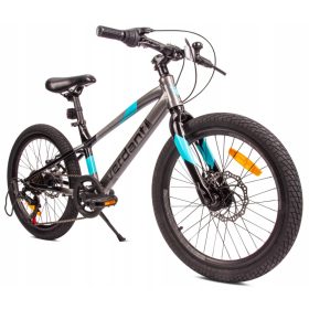    Mountain bike per bambini da 20 pollici MTB Shimano 6 velocità Verdant Alder