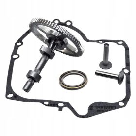  Rullo temporale per Briggs e Stratton 793880 793583