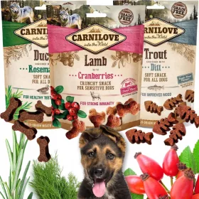    Carnilove Agnello croccante con dolcetto ai mirtilli rossi per cani 200 g
