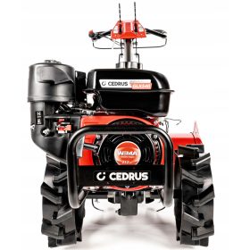   FRESA CEDRUS 54cm Weima WM170F/P MOTORE 212 cm3 GLX540+ GRATIS