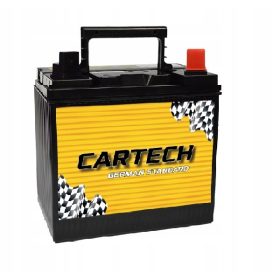  Batteria al gel per rasaerba da giardino 30Ah POTENTE P+