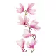  Adesivi murali, specchio, mobili, fiori, fiori, Magnolia autoadesiva
