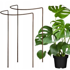    2× Supporto per cespugli, fiori, piante pergola D40 H60cm singola semicircolare