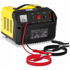  Raddrizzatore MSW 1224V 20A S-CHARGER-30A.4