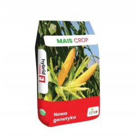  MAIS RYWAL 50.000 MILA SEMI RACCOLTO MAIS FAO 210