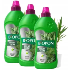  Concime minerale per piante verdi Biopon liquido 1l