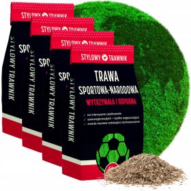    Erba decorativa, erba mista, per zone d'ombra, giardino, sport Stylowy Trawnik 800 m² 20 kg