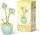  FIORI blocchi, mazzo di fiori in vaso Fiori eterni fai da te 269 pz. 2087