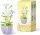  FIORI blocchi, mazzo di fiori in vaso Fiori eterni fai da te 305 pz. 2088