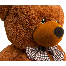  Orsetto Grande per Bambini Mascotte 160