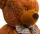  Orsetto Grande per Bambini Mascotte 160