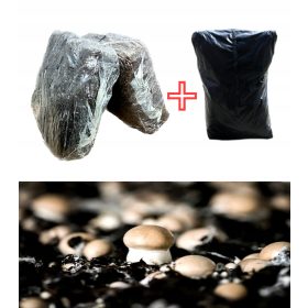  Micelio per la coltivazione di funghi marroni, set Kumi