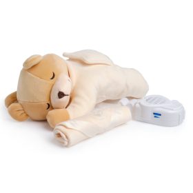    Prince Lionheart Teddy Bear Humming Sleeper + Batteria Panasonic AAA zinco-carbone (R3) 12 pz.