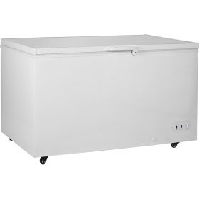 Congelatore a pozzetto BD-650a da 537 litri