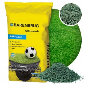    Erba decorativa, miscela di erba, giardino, sport Barenbrug 500 m² 10 kg