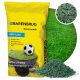  Erba decorativa, miscela di erba, giardino, sport Barenbrug 500 m² 10 kg
