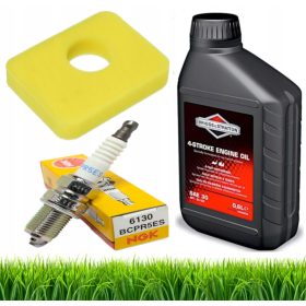    Briggs & Stratton 100005E SAE30 olio per tosaerba 0,6l + 2 altri prodotti