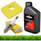  Briggs & Stratton 100005E SAE30 olio per tosaerba 0,6l + 2 altri prodotti