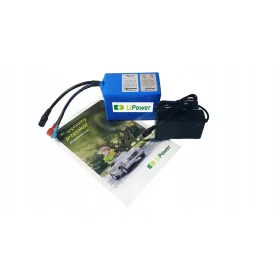    Caricabatterie Li-Ion LiPower 10Ah 12V per costumi gonfiabili da orsacchiotto