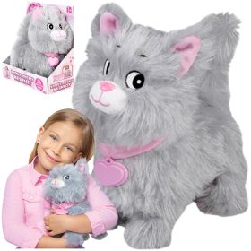    Gattino che cammina al guinzaglio Artyk Natalia grigio 121371 + Matite Kemis 6 pz.